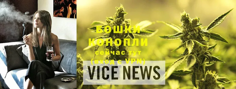 где найти наркотики  МЕГА сайт  Шишки марихуана THC 21%  Новопавловск 